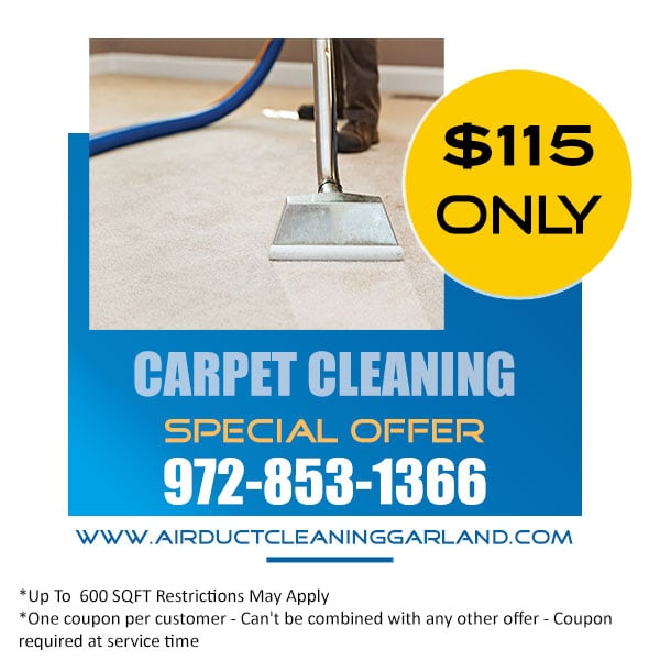 offer carpet